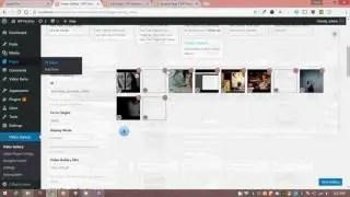 CodeCanyon, DZS Video Gallery WordPress - Demo Install and Add Self Hosted Video