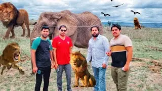 Ajj Hum Ap Ko South Africa Ke Jungle Ka Visit karwate hain Zoo Of  South Africa🇿🇦..