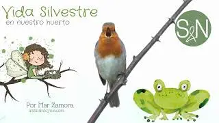 DIA DE LA VIDA SILVESTRE EL LIRON CARETO