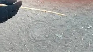 Leopard and hyena footprints explained by our guide