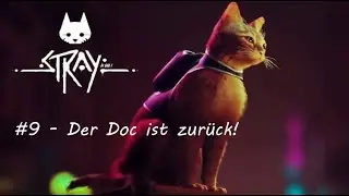 Stray | Part 9 - Der Doc ist zurück!