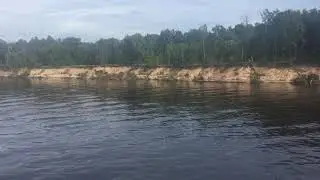 Нижегородская область
