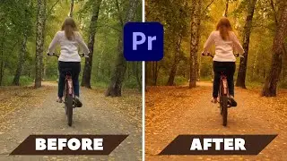 Enhance Your Autumn Footage: Premiere Pro Color Grading Quick Tutorial