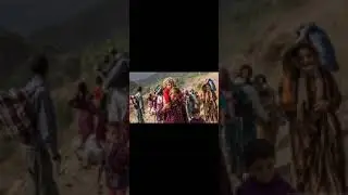 Salix u sulix  Şengal2014-Şengal2024
