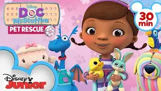 Pet Rescue | 30 Minute Compilation | Doc McStuffins | 