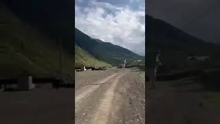 Козел зацепился за провода.