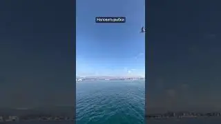 Билеты на самолет дешевле В ДВА РАЗА в нашем видео 👆🏻