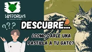 ¡Truco Infalible! Cómo Darle una Pastilla a tu Gato Sin Estrés 🐱💊 #gatos #trucos #mascotas #viral
