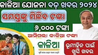 Kaliya Yojana Big update 2024 // ଆସିଲା କାଳିଆ ଟଙ୍କା
