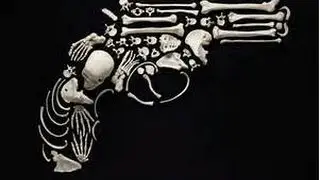 The Gun
