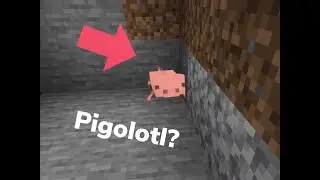 Pigolotl?