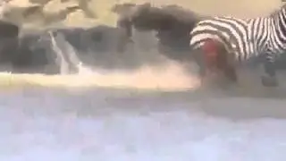 You'll see it but you might not believe it