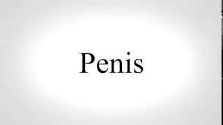 How to Pronounce Penis