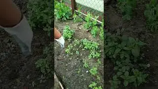 Весной экономлю 500 рублей