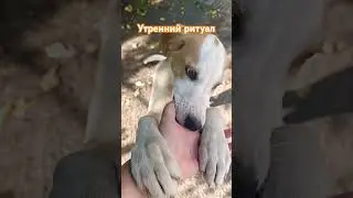 Доброе утро❤ 
