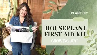 I Made A DIY Houseplant First Aid Kit for Your Worst Case Plant Problems