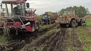 квк. амкалор. прикол