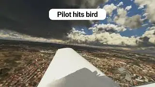 Pilot hits bird | Emergency Landing Real ATC