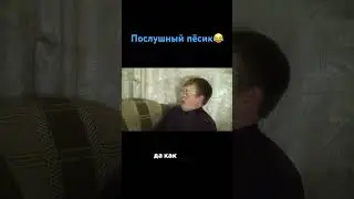 Послушный ЦЫГА-мошенник