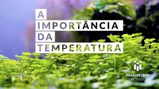 A importância da Temperatura no aquário plantado - Parâmetros - Iniciantes