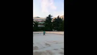 Dancehells- Foros Forest Park, 200 years old