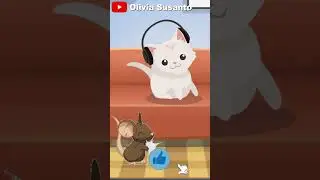 anak kucing 🐱🐈 