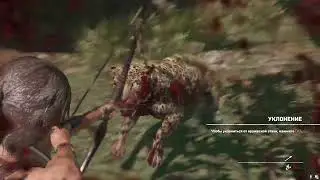 Shadow of the Tomb Raider 3