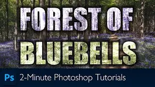 Editing Bluebells in a Forest using Photoshop | Photoshop Tutorial