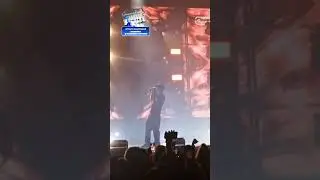 выступление PHARAOH’a под композицию — "Дико, Например" на "Пикнике Афиши"