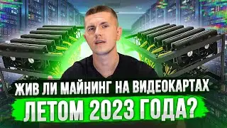 Жив ли майнинг на видеокартах летом 2023 года?