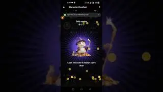 hamster kombat today combo cards | 15 june hamster kombat today combo cards | hamster combo