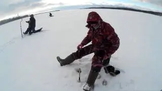 Ловля окуня на безмотылку в глухозимье