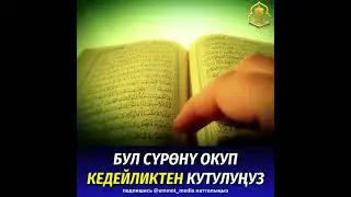 Бул сүрөнү окуп кедейликтен кутулуңуз!  Шейх Тариел ажы устаз