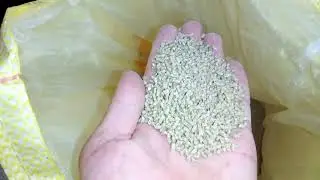 Каким кормом кормить цеплят .