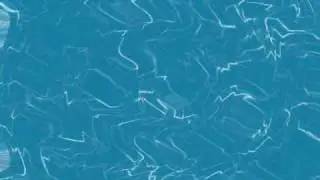 Gimp Animations