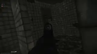Tarkov - Cheating Bitch