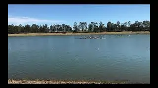 Middle 1km