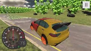 Crazy Auto Racer