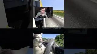 Братишкин и котик на дороге 