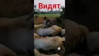 реальность жизни