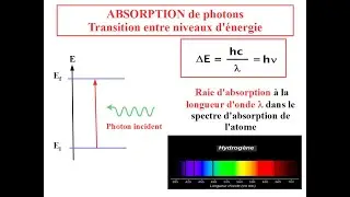 ABSORPTION of photons and TRANSITION between energy levels of an atom.
