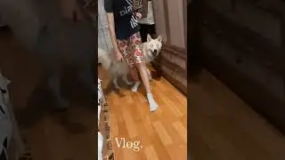 Домашние тренировки.