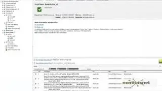 LR 56 creating master scripts v1