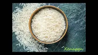Dame Tu Arroz Xenapgn
