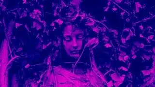 TRAP METAL GUITAR LOOPS - 