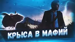 НАШЛИ КРЫСУ В ФРАКЦИЙ | МОНТАЖ ГТА 5 РП RAINBOW