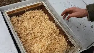 Предварительные итоги зимовки