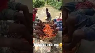 Иногда лучше не знать, чем знать 😁