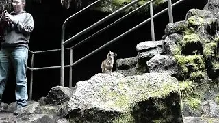 Pictures from ape cave