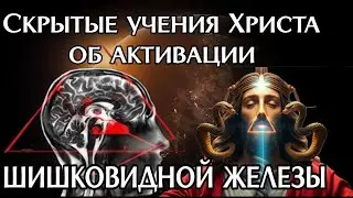 Скрытые учения Иисуса Христа об активации шишковидной железы - Сознание Христа внутри. Тайные знания